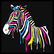 Pop Art obraz Zebra zs4536